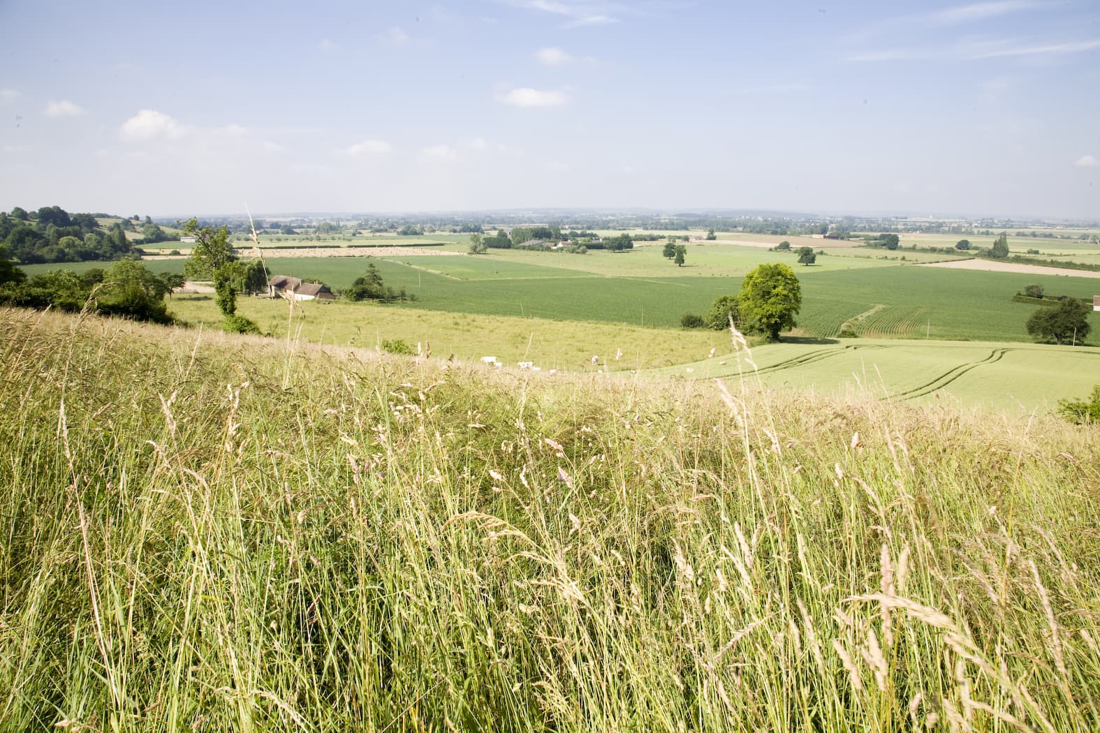 BALLON - agriculture durable alimentation durable Pays du Mans